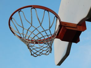 开云体育下载官网-NBA球员防守意识培养训练法与行为转化研究，nba2021球员防守效率
