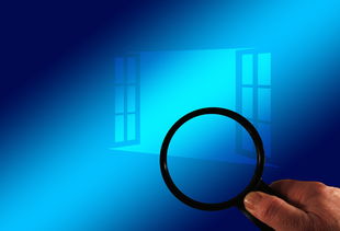 开云体育官方网入口-德甲青训心理测试系统对识别高潜力球员的辅助作用，德甲青训规则